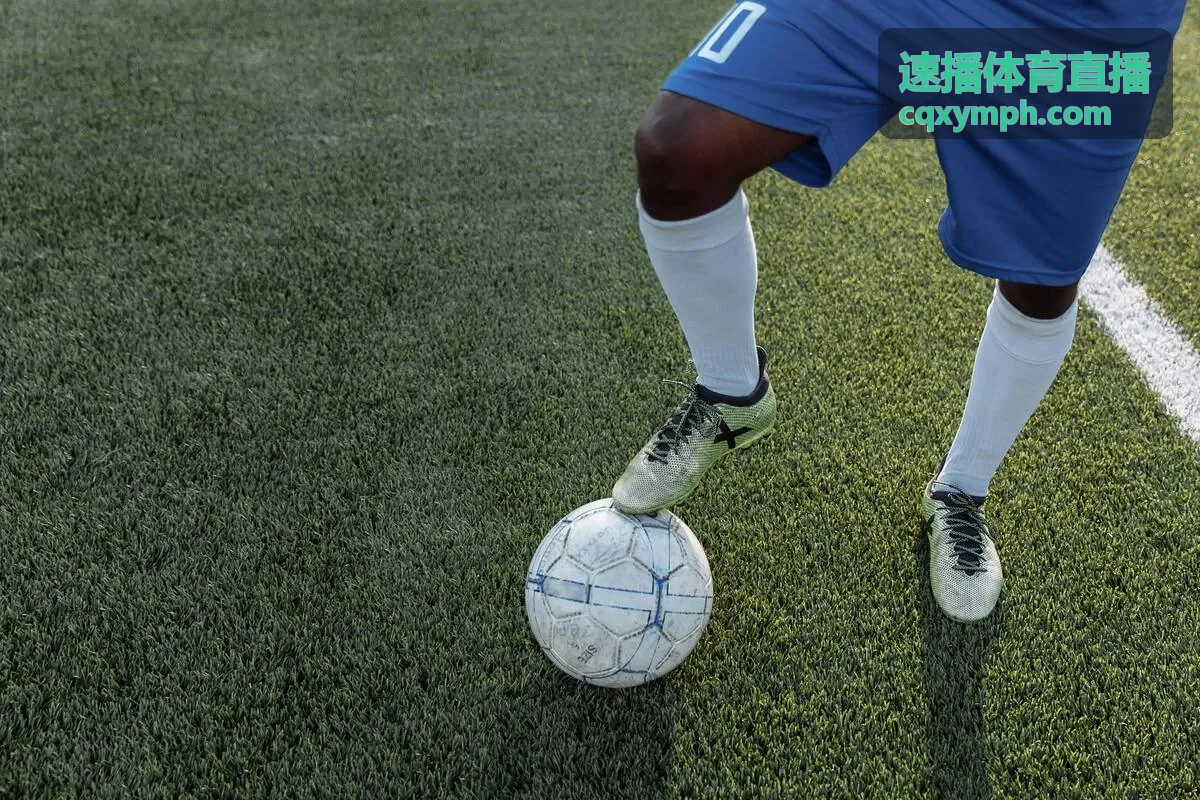 速播体育直播 - 经典回顾